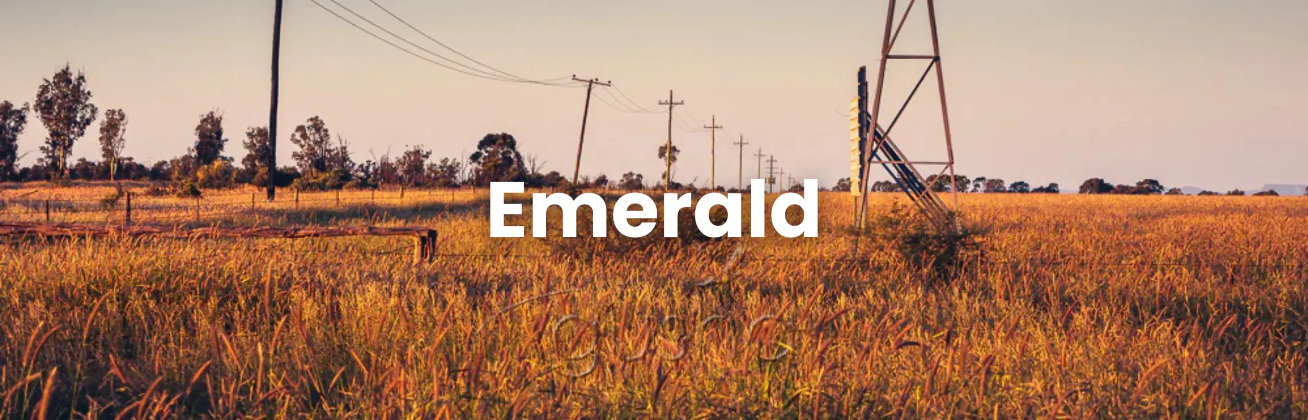 Alt Text: Golden rural landscape at sunset in Emerald, Queensland, highlighting the regional charm of the Emerald Conference.
